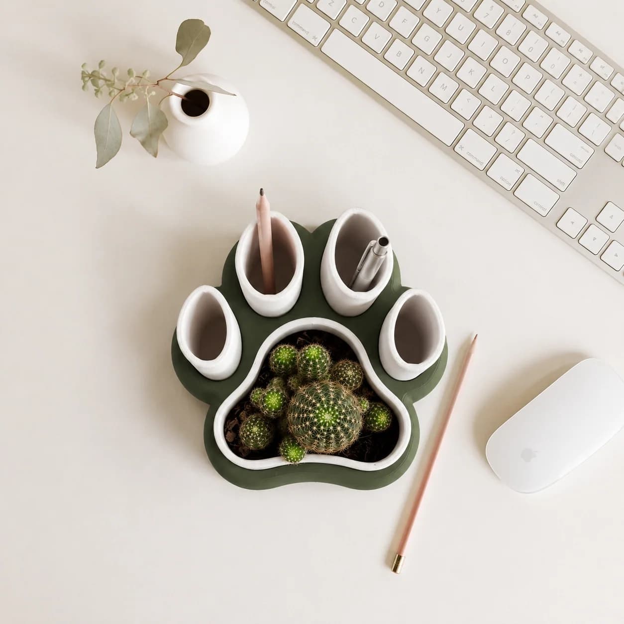 Pawtra Desk Organizer & Succulent Planter | The India Decor thumbnail 2